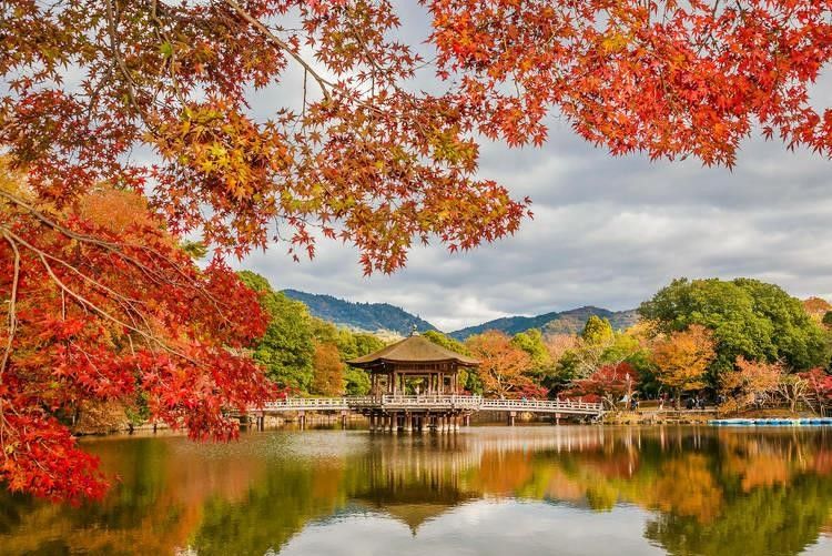 Công viên Nara Nhật Bản vào thu
