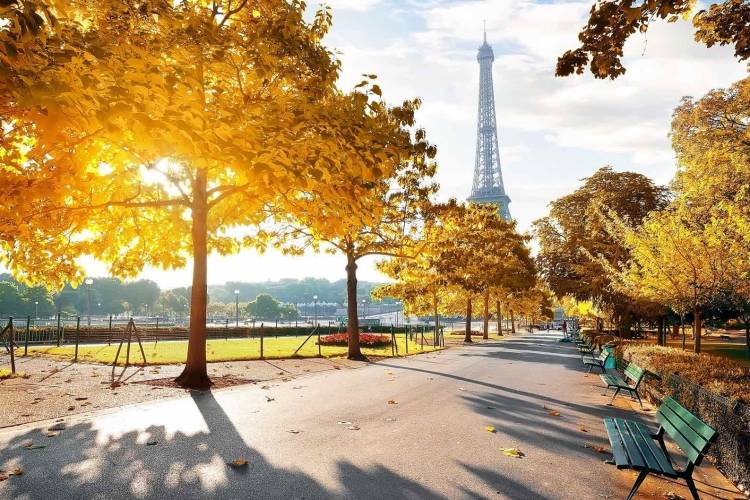 Mùa thu tuyệt đẹp tại thủ đô nước Pháp mộng mơ