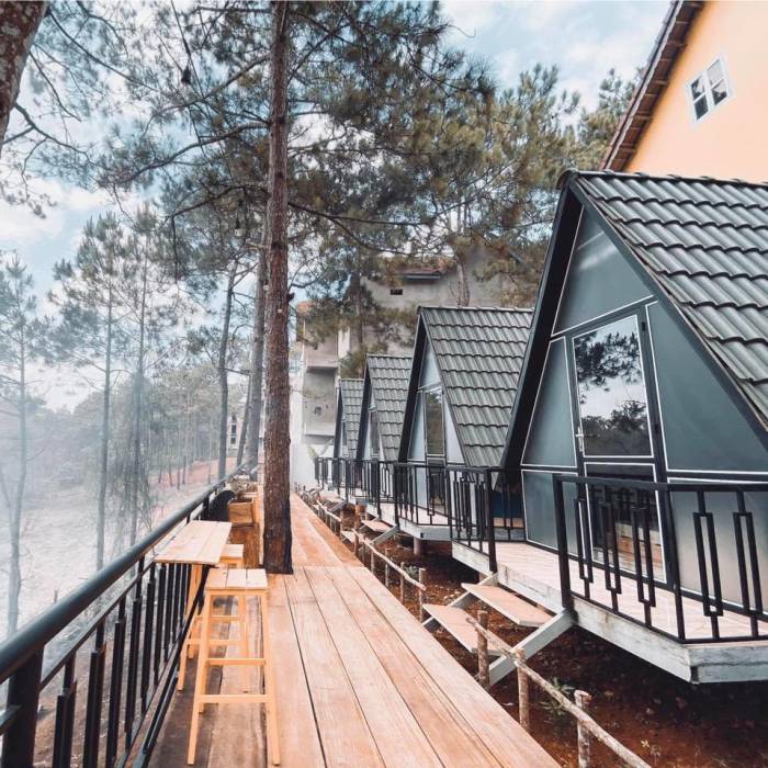 Mountain Lodge Homestay