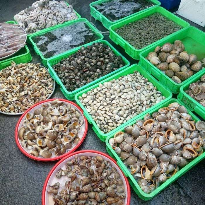 Chợ hải sản Vũng Tàu Cô Giang