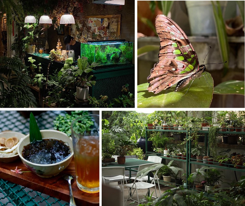 Tiệm cây người làm vườn là một trong những điểm cafe sân vườn quận 1 độc đáo với phong cách gần gũi thiên nhiên.