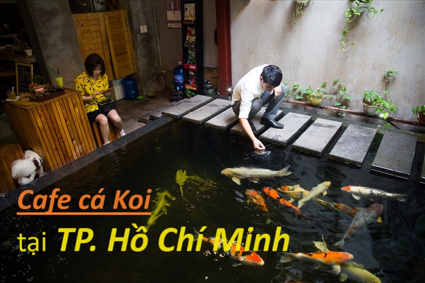 Quán cafe cá Koi thành phố Hồ Chí Minh đẹp, mát mẻ, giá rẻ