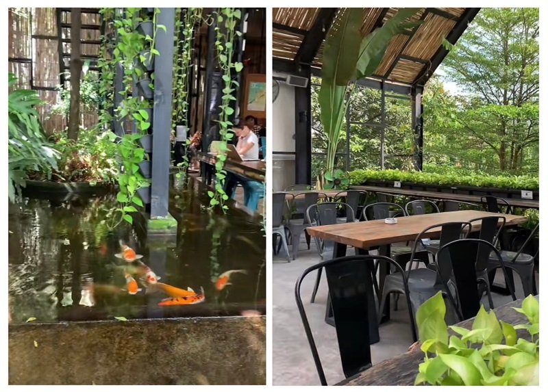 Quán cafe cá Koi quận 2 - Dolphy có không gian mát mẻ và thích hợp cho việc thư giãn.