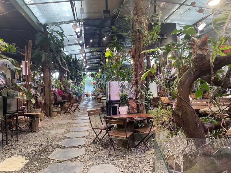 Diệu Garden - Không gian cafe sân vườn quận 10 độc đáo.