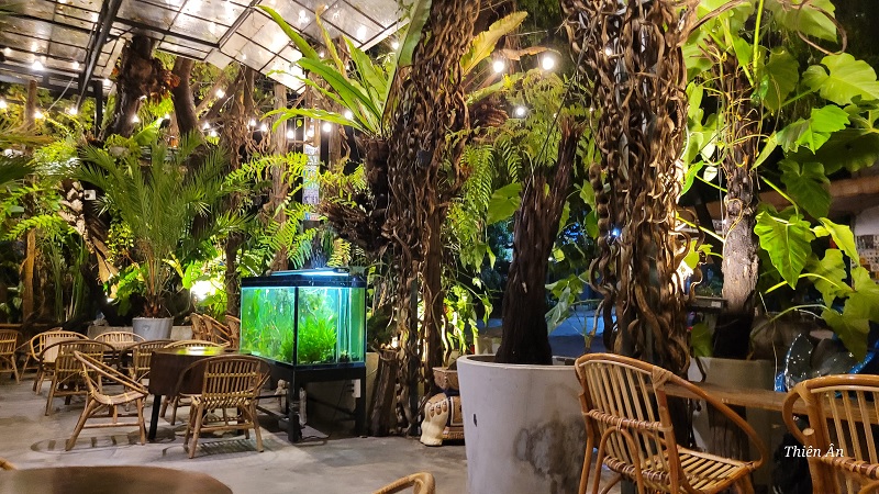 True Cafe - Không gian cafe sân vườn quận Tân Phú mát mẻ.
